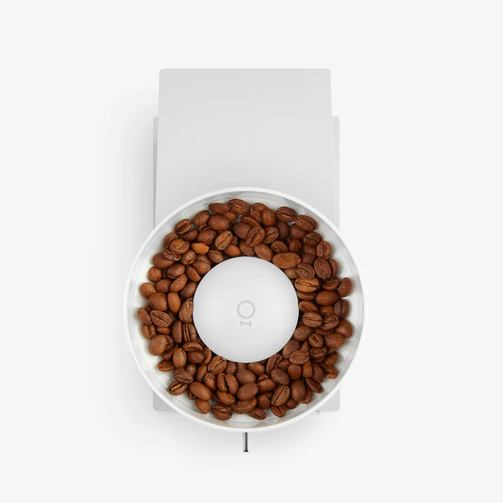 Fellow Opus Conical Burr Coffee Grinder by the coffee beautiful coffee company UK london surrey