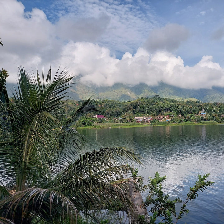 Indonesia Sumatra Lake Toba by Coffee Beautiful Single Origin Fresh Roasted Specialty Grade Coffee by the coffee beautiful coffee company UK London Surrey