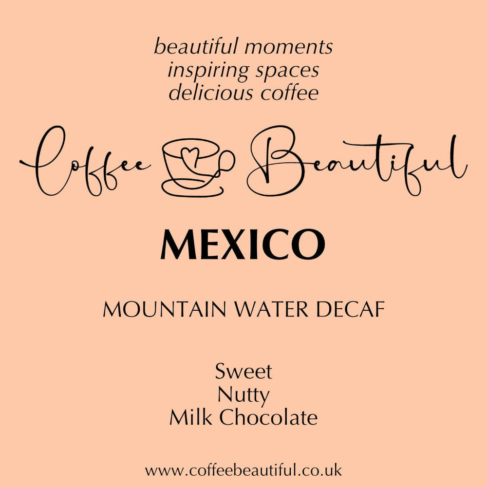 Mexican Mountain-Water Decaf — angled view