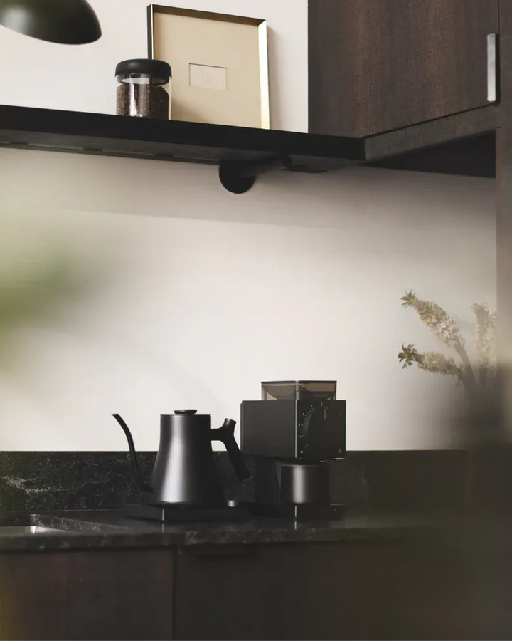 Fellow Stagg EKG Pro Electric Kettle