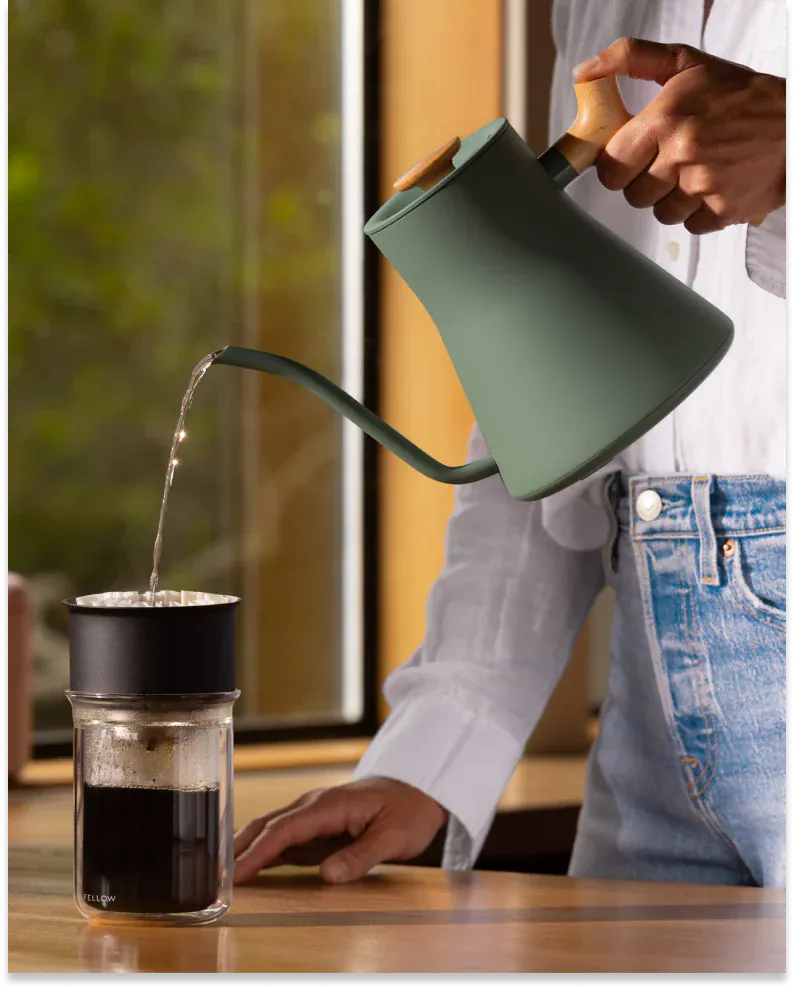 Fellow Stagg EKG Pro Electric Kettle
