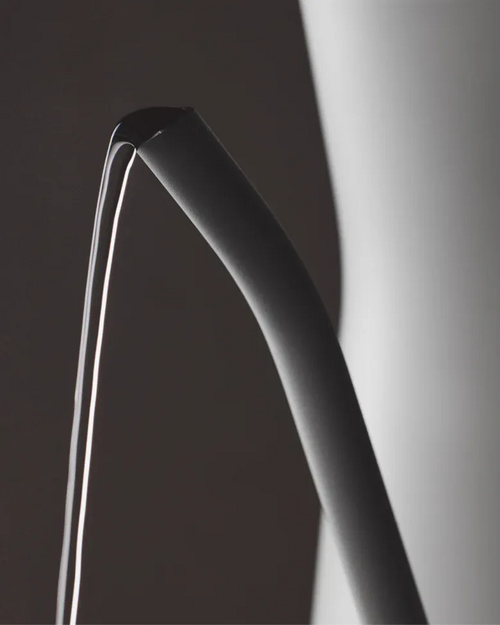 Fellow Stagg EKG Pro Electric Kettle