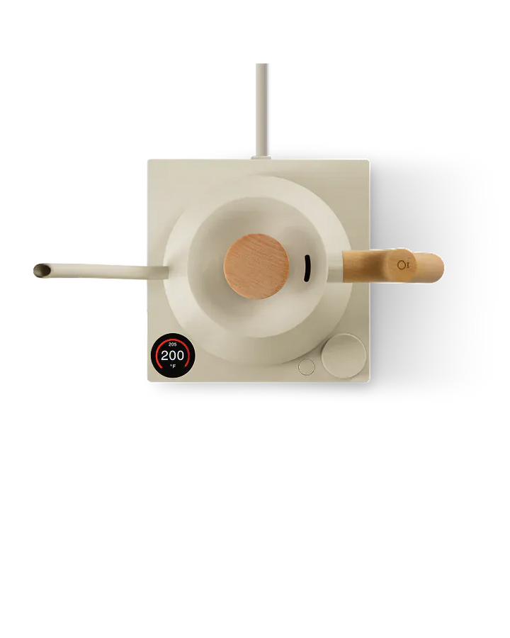 Fellow Stagg EKG Pro Electric Kettle