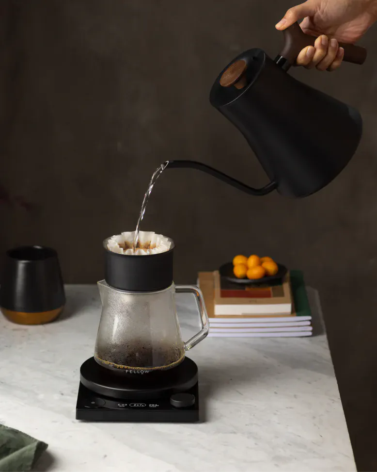 Fellow Stagg EKG Pro Electric Kettle