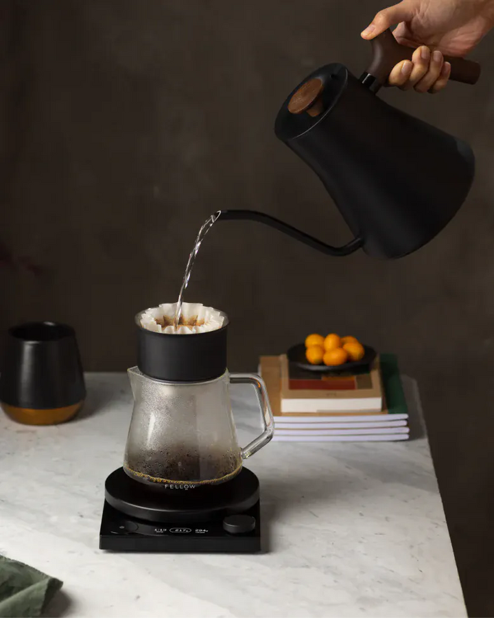 Fellow Stagg EKG Pro Electric Kettle